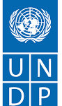 08- UNDP